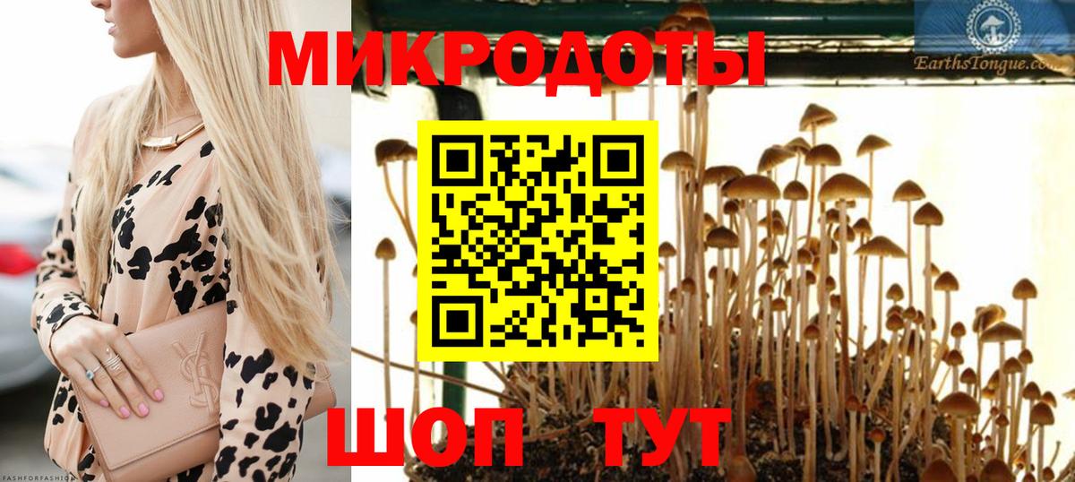 Галлюциногенные грибы Cubensis Гулькевичи